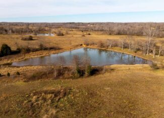 240 Acres + Cabin | Missouri Ozarks