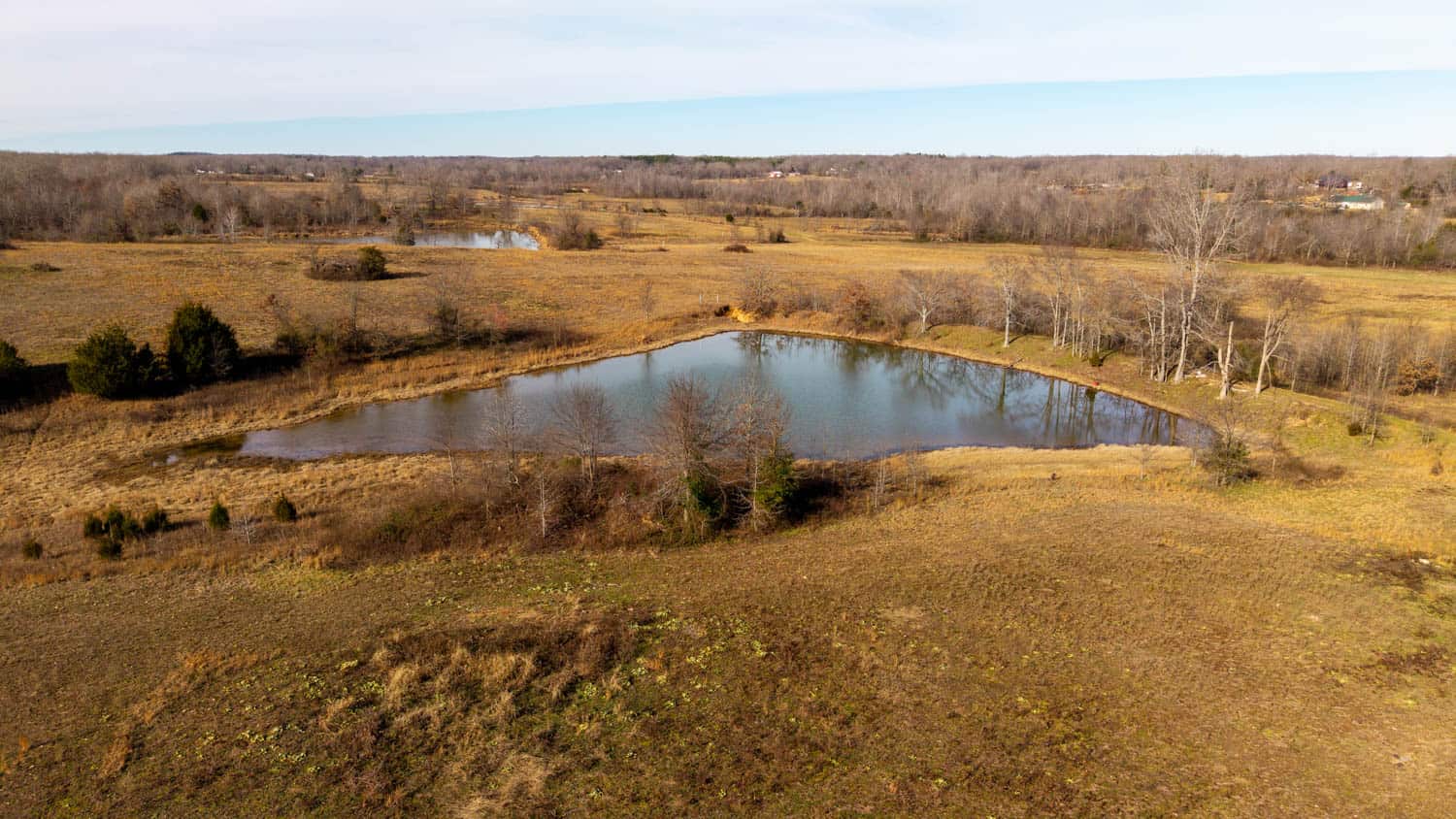 240 Acres + Cabin | Missouri Ozarks