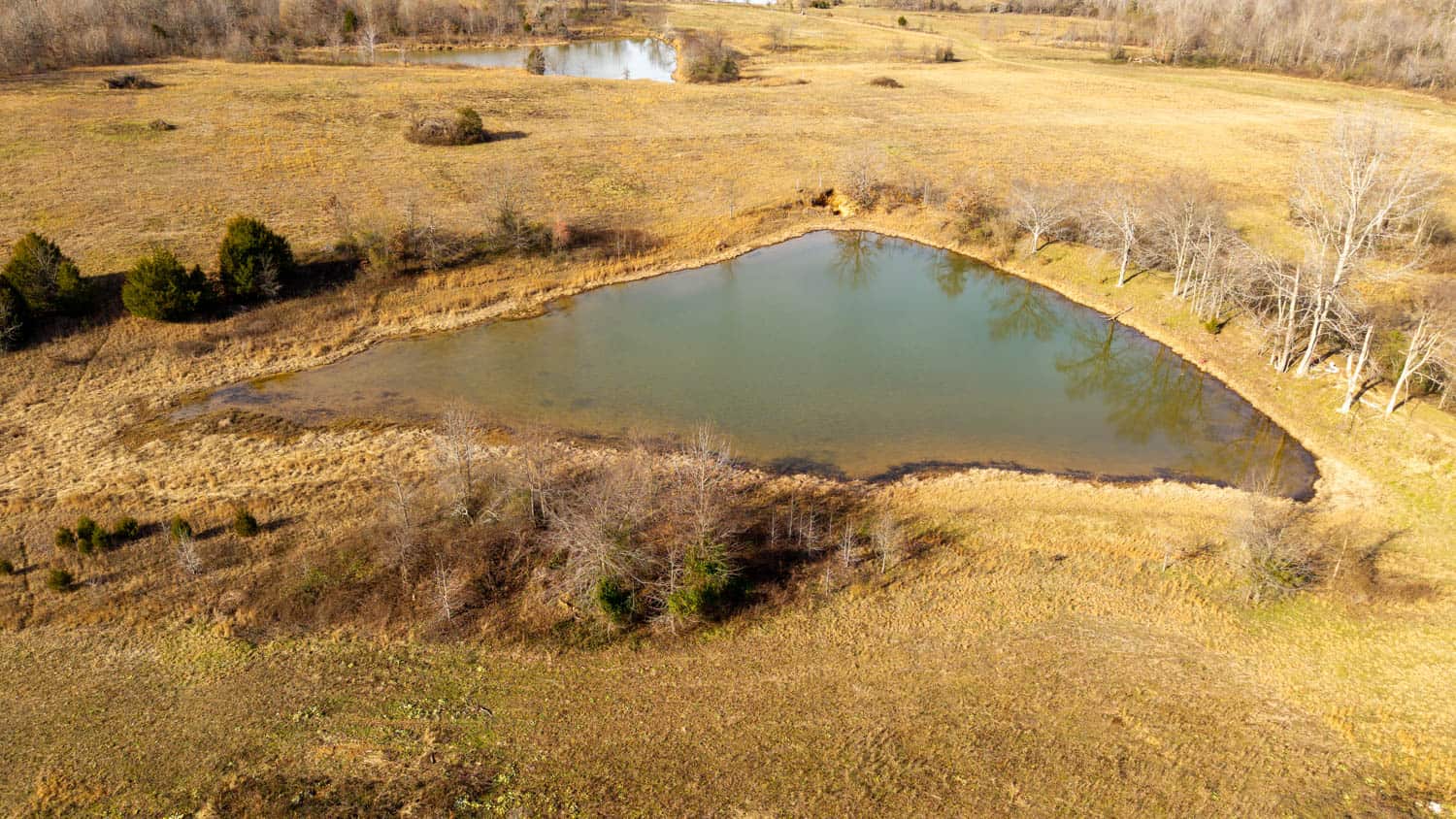 240 Acres + Cabin | Missouri Ozarks