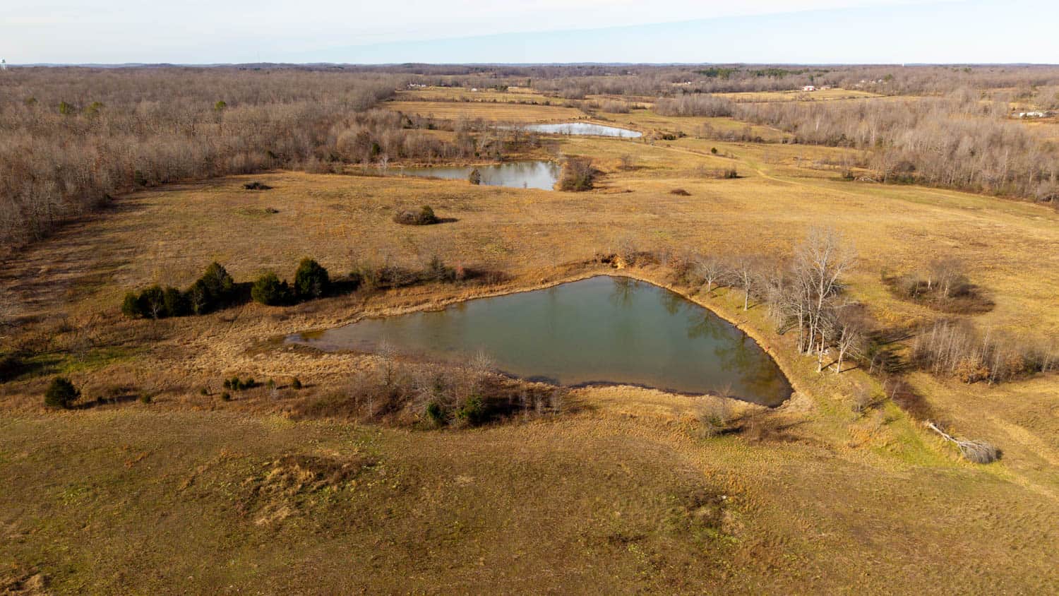 240 Acres + Cabin | Missouri Ozarks