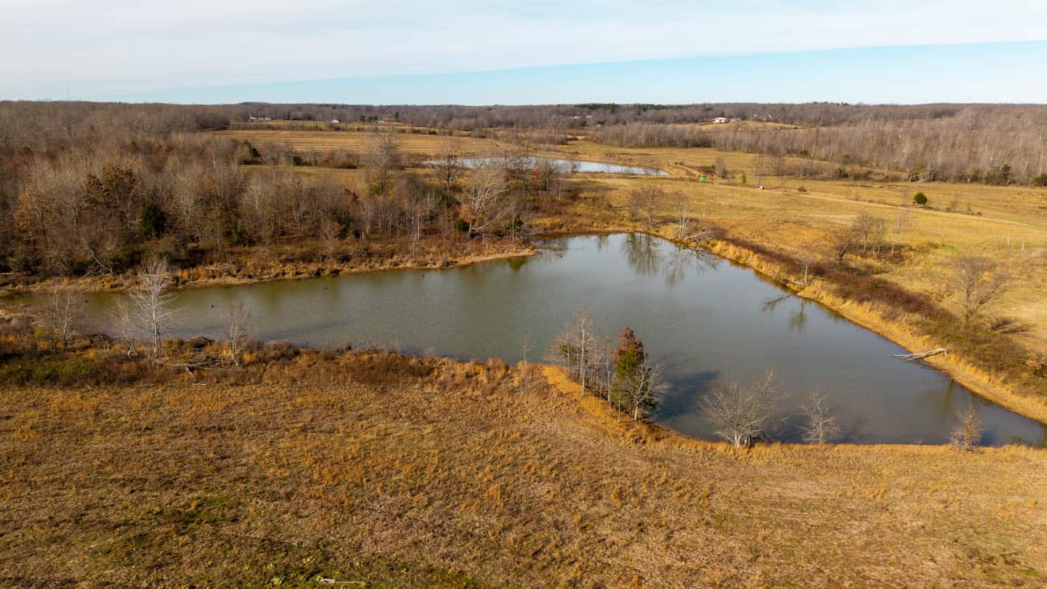 240 Acres + Cabin | Missouri Ozarks