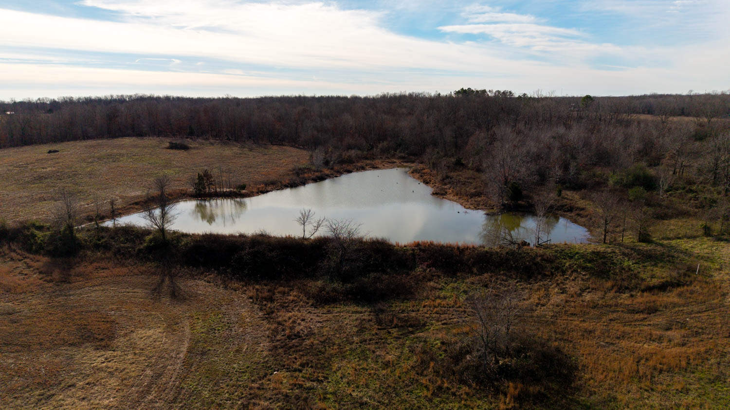 240 Acres + Cabin | Missouri Ozarks