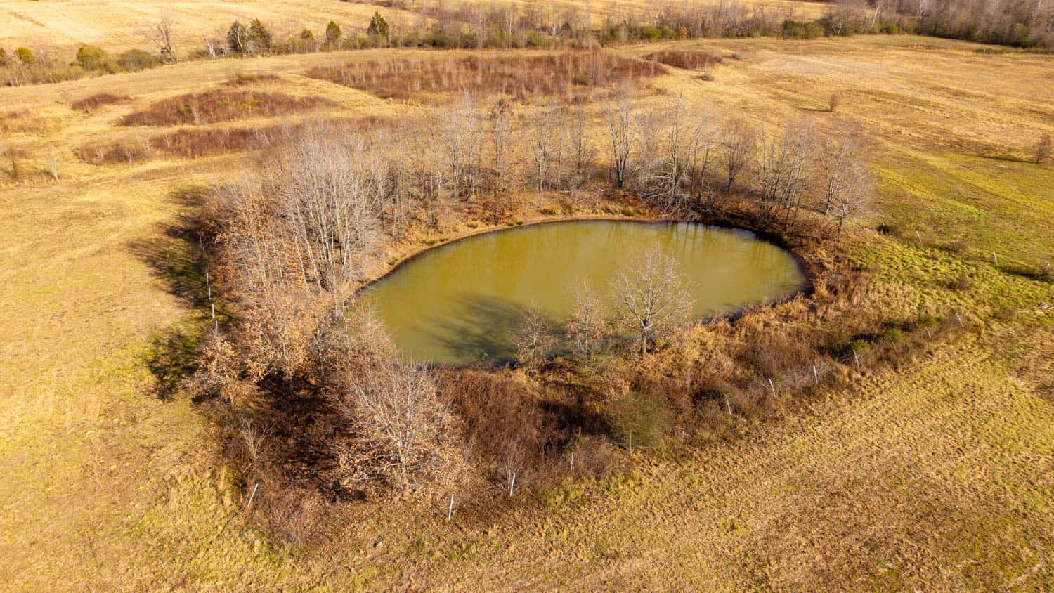 240 Acres + Cabin | Missouri Ozarks
