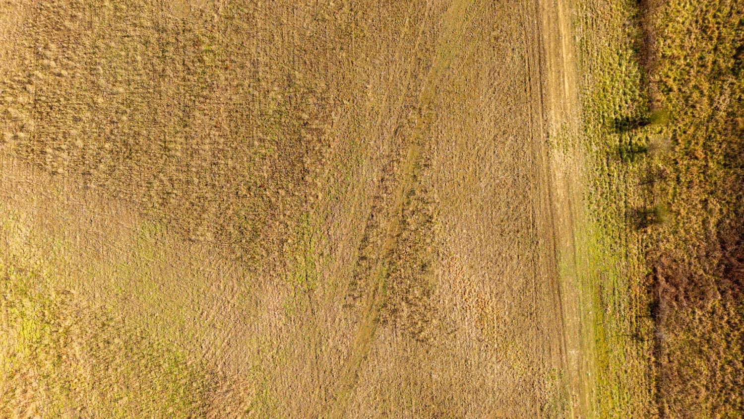 240 Acres + Cabin | Missouri Ozarks