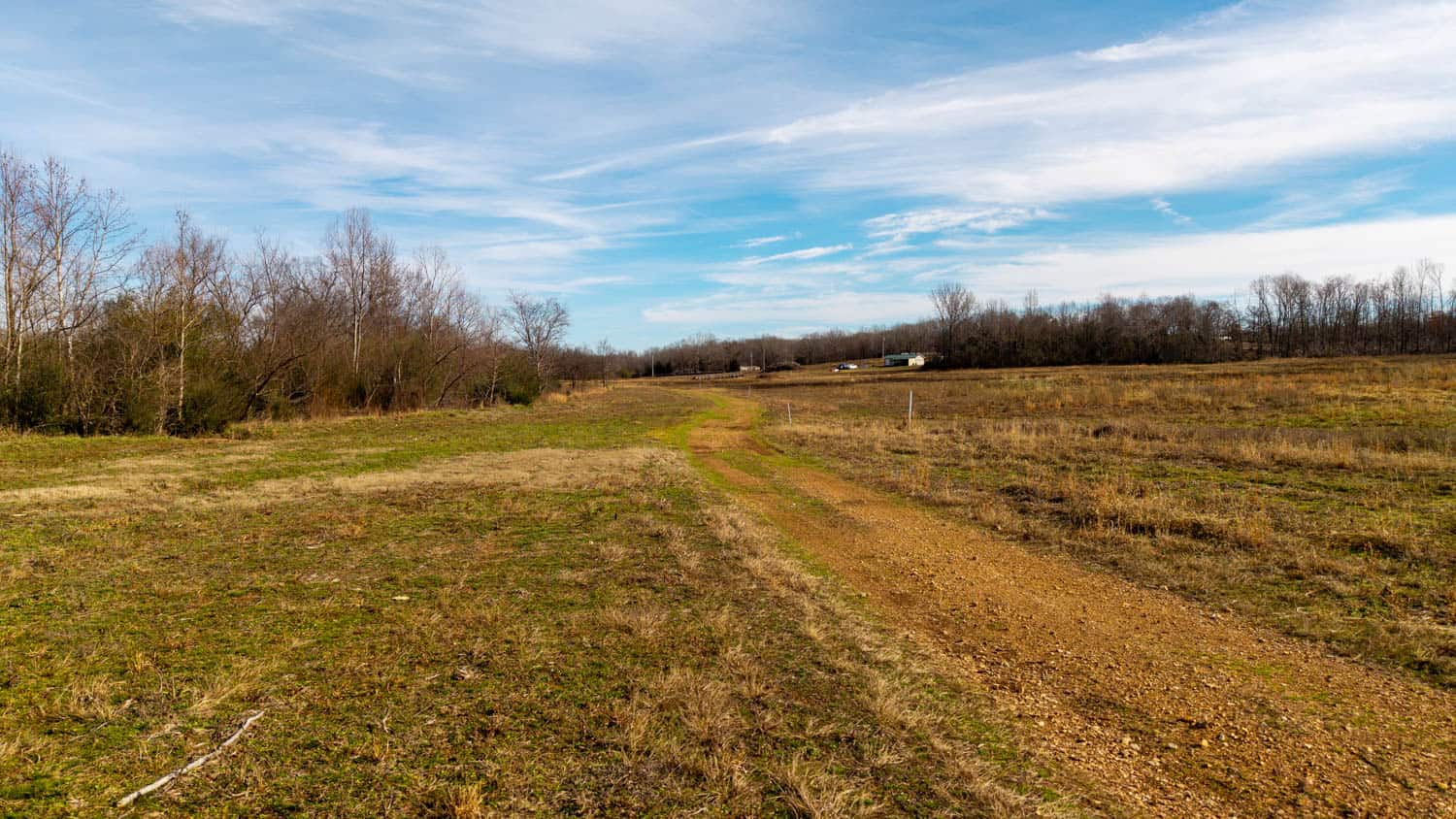240 Acres + Cabin | Missouri Ozarks