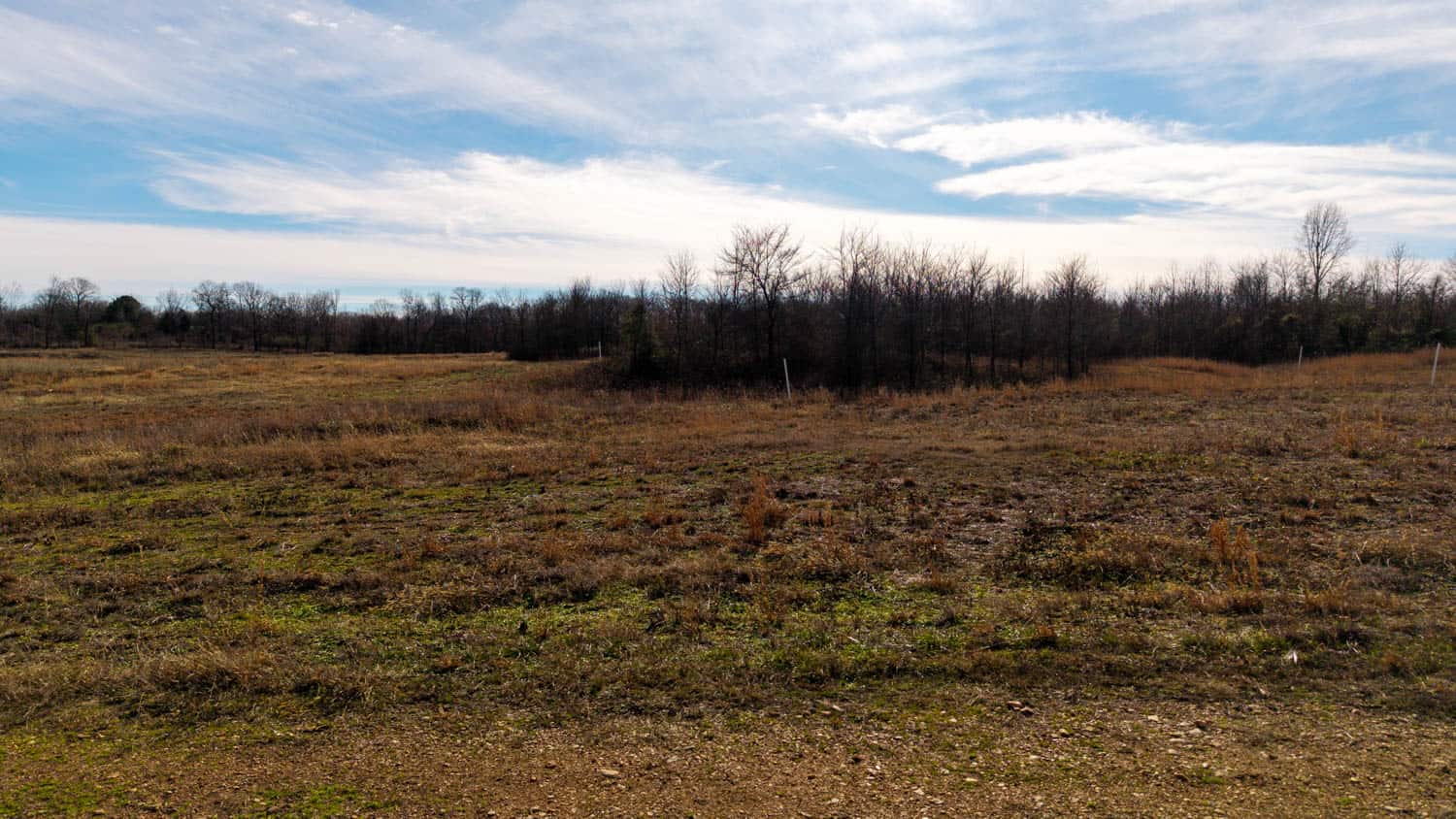 240 Acres + Cabin | Missouri Ozarks