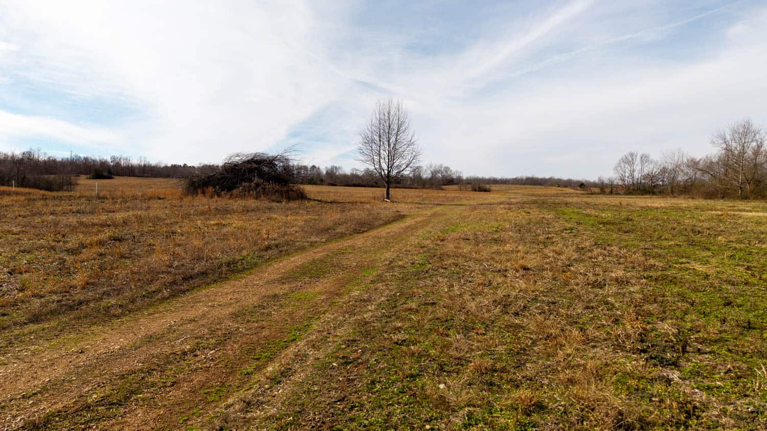 240 Acres + Cabin | Missouri Ozarks