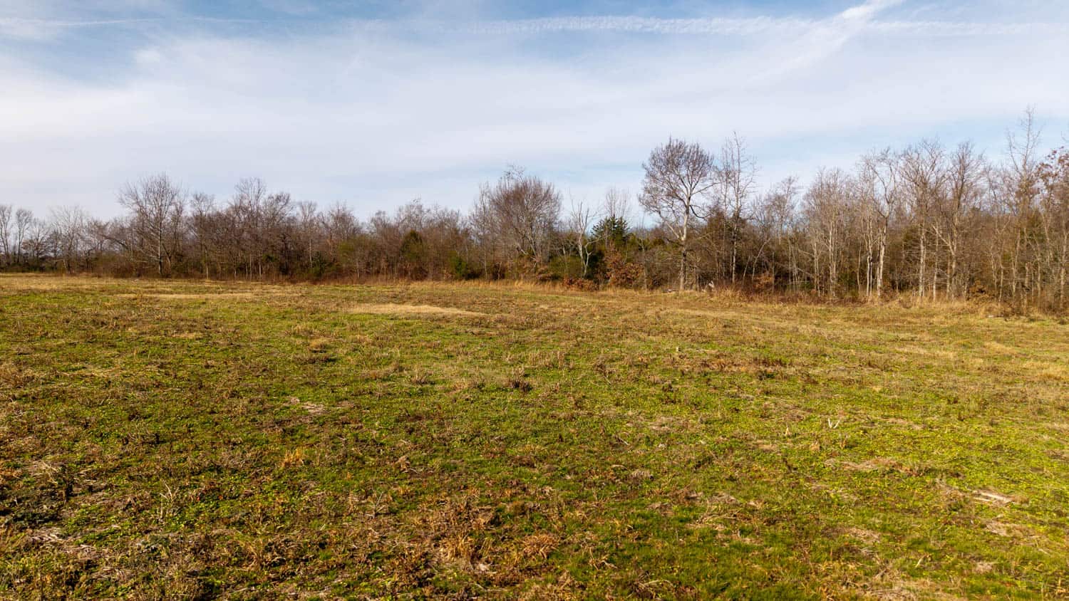 240 Acres + Cabin | Missouri Ozarks