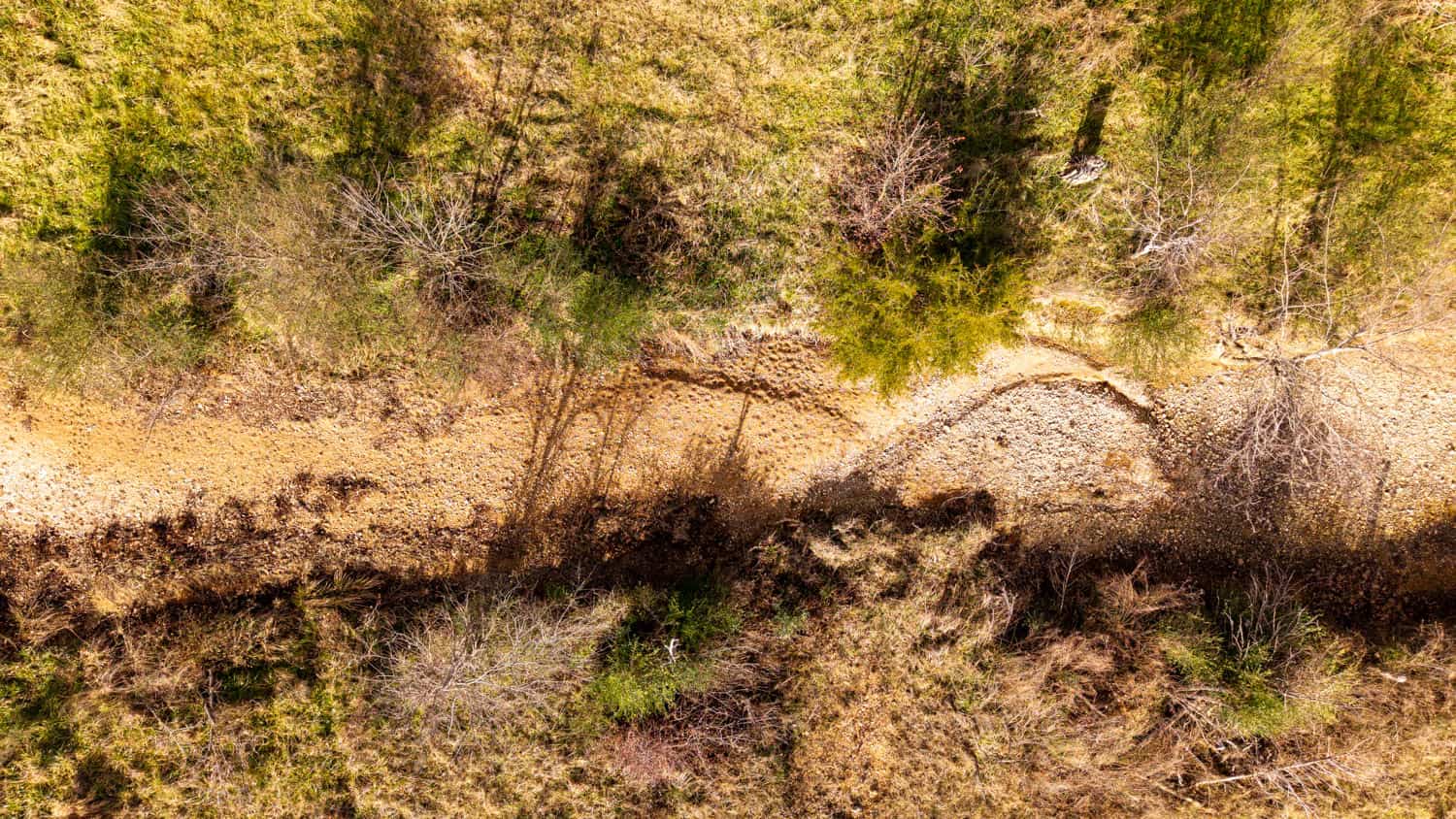 240 Acres + Cabin | Missouri Ozarks