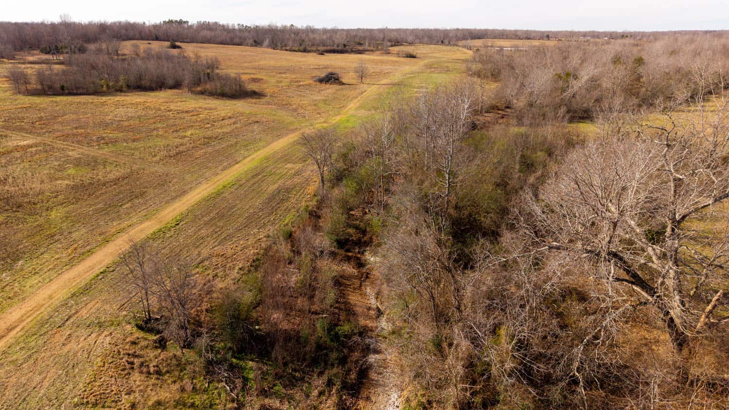 240 Acres + Cabin | Missouri Ozarks