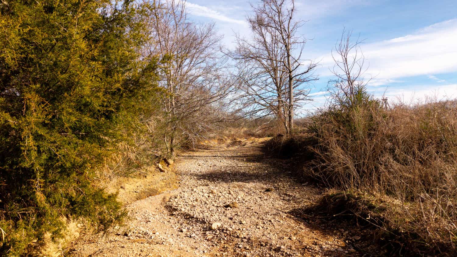 240 Acres + Cabin | Missouri Ozarks