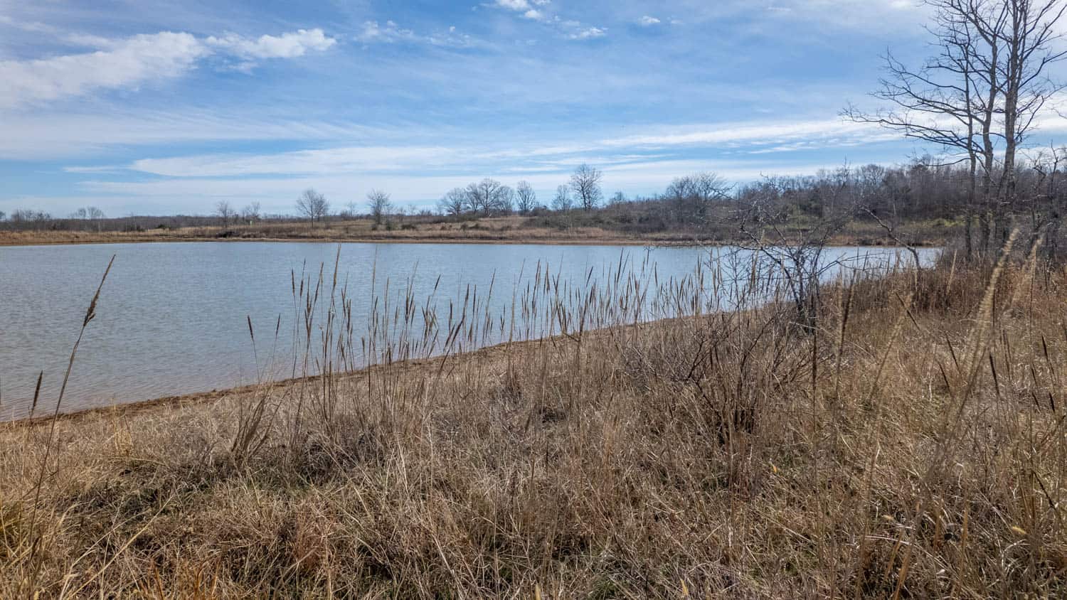 240 Acres + Cabin | Missouri Ozarks