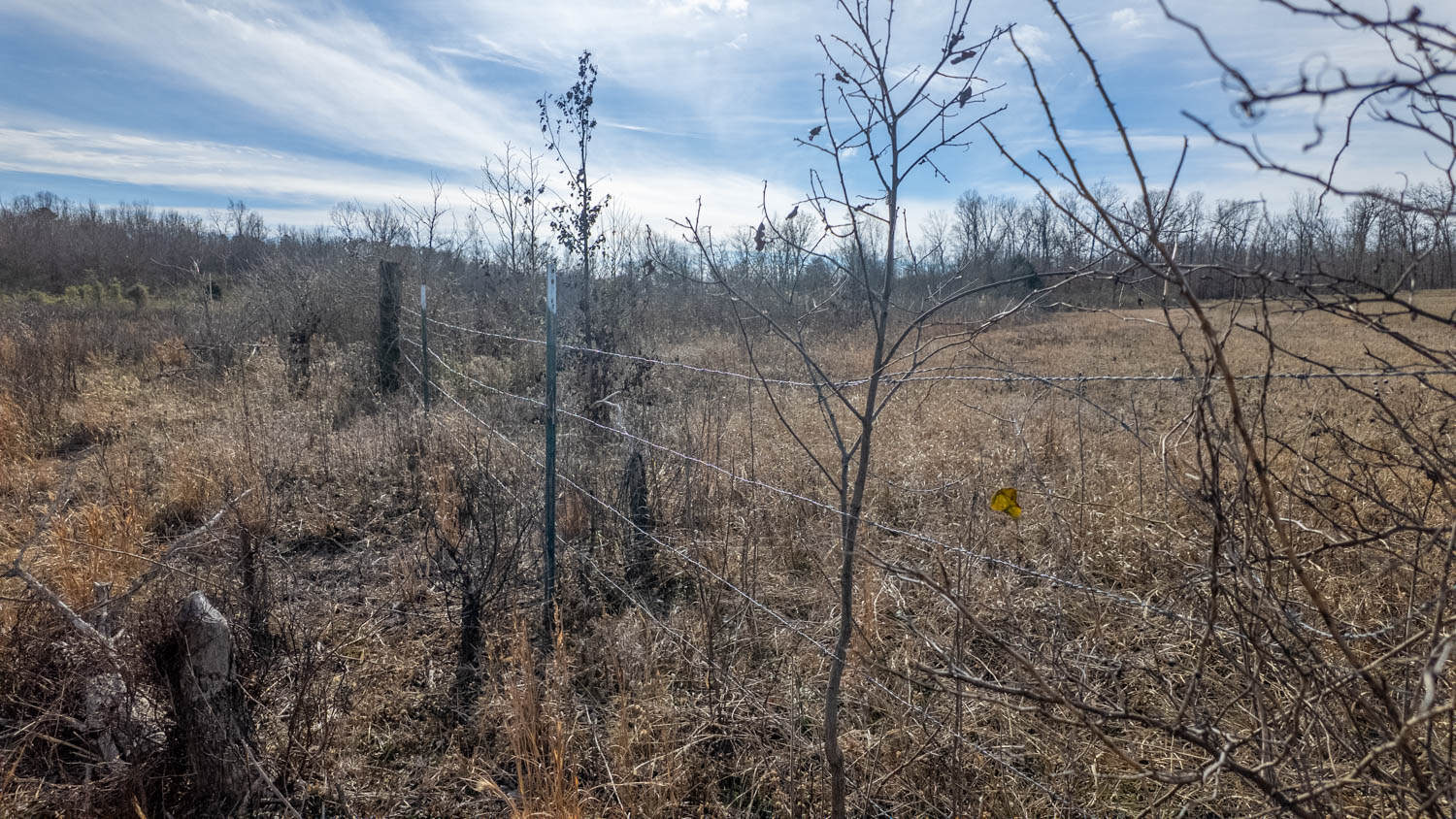 240 Acres + Cabin | Missouri Ozarks