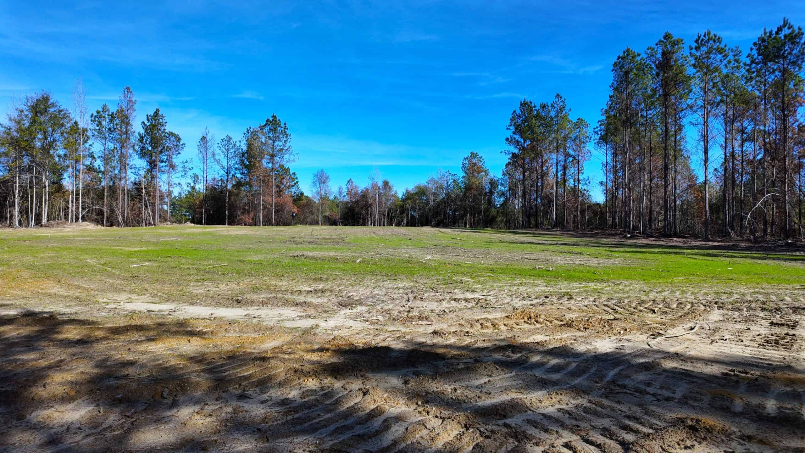 188 Acres for Sale in the Alabama River Bluff