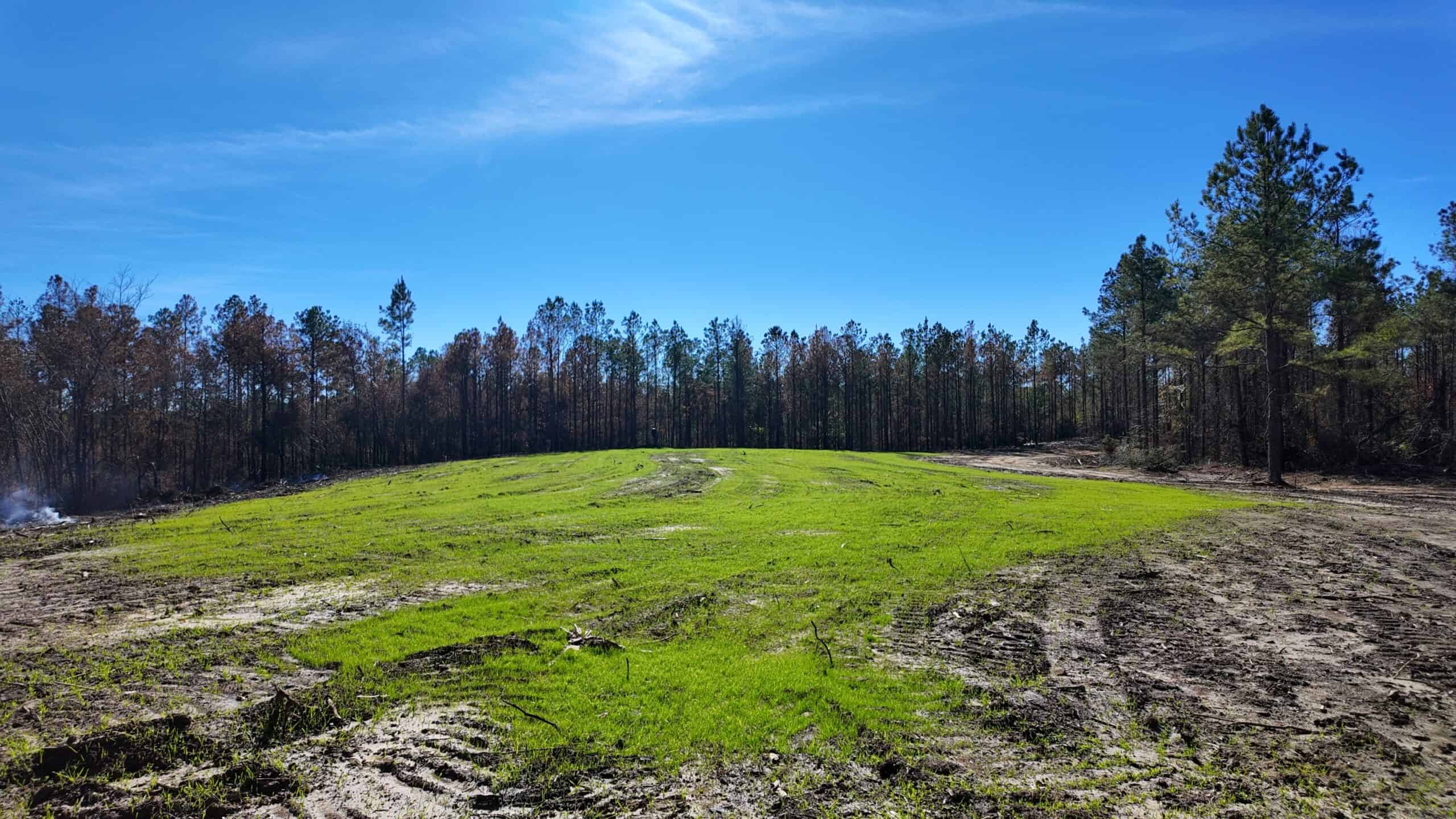 188 Acres for Sale in the Alabama River Bluff