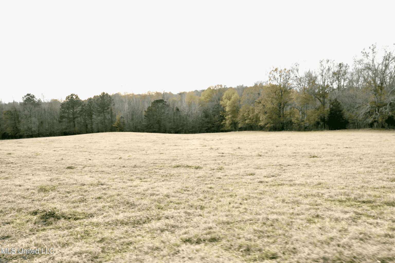 160 Acres in Lincoln County MS Near Brookhaven & I-55