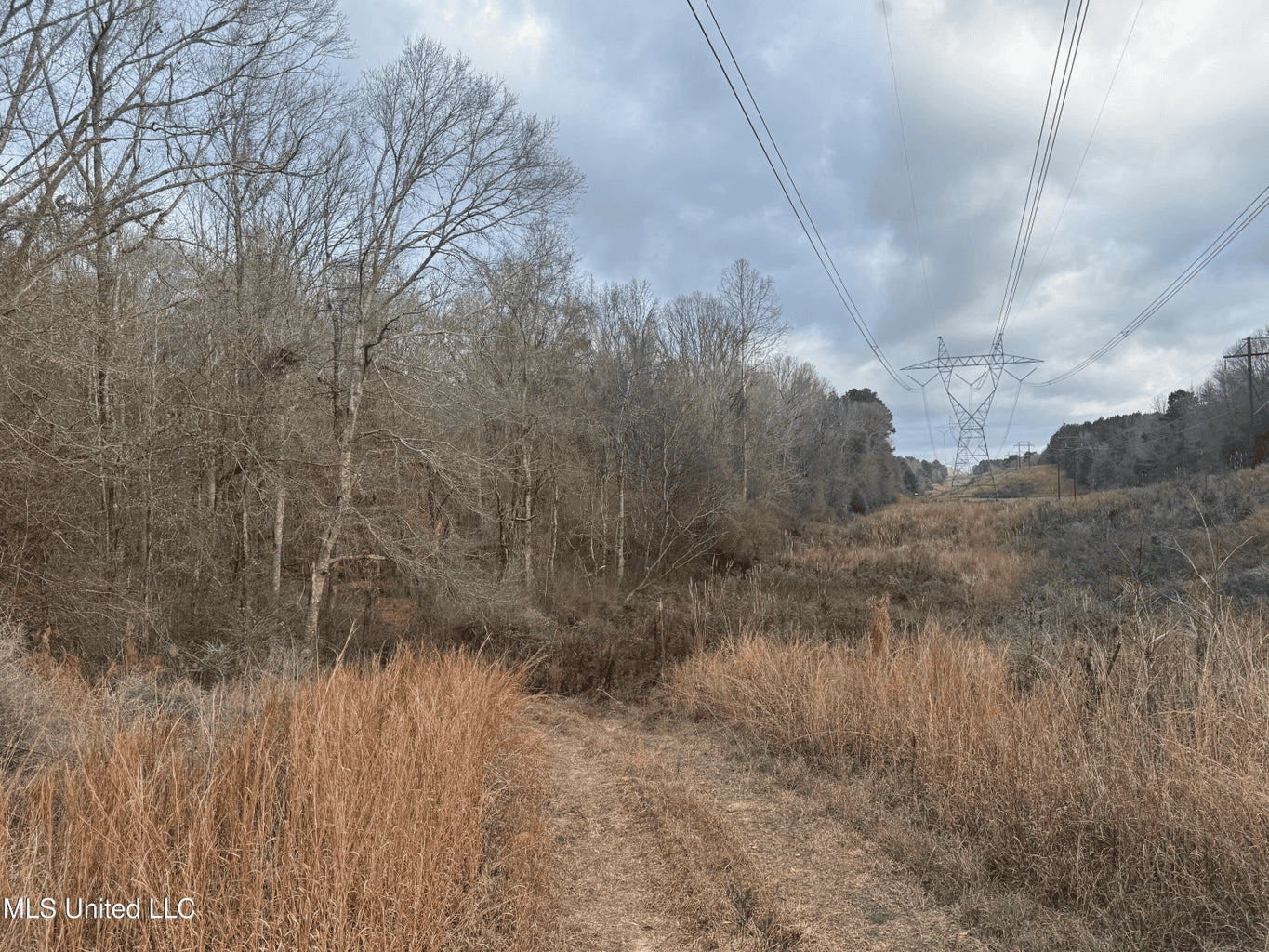 Prime Hunting/Recreation Tract near Homochitto Nat’l Forest