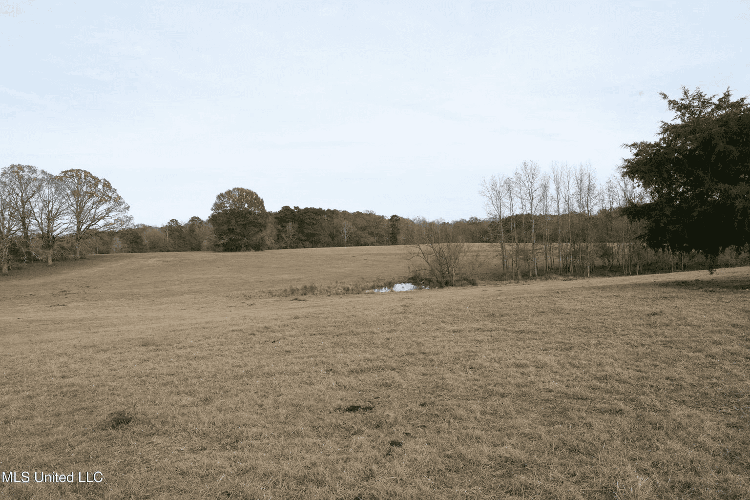 160 Acres in Lincoln County MS Near Brookhaven & I-55
