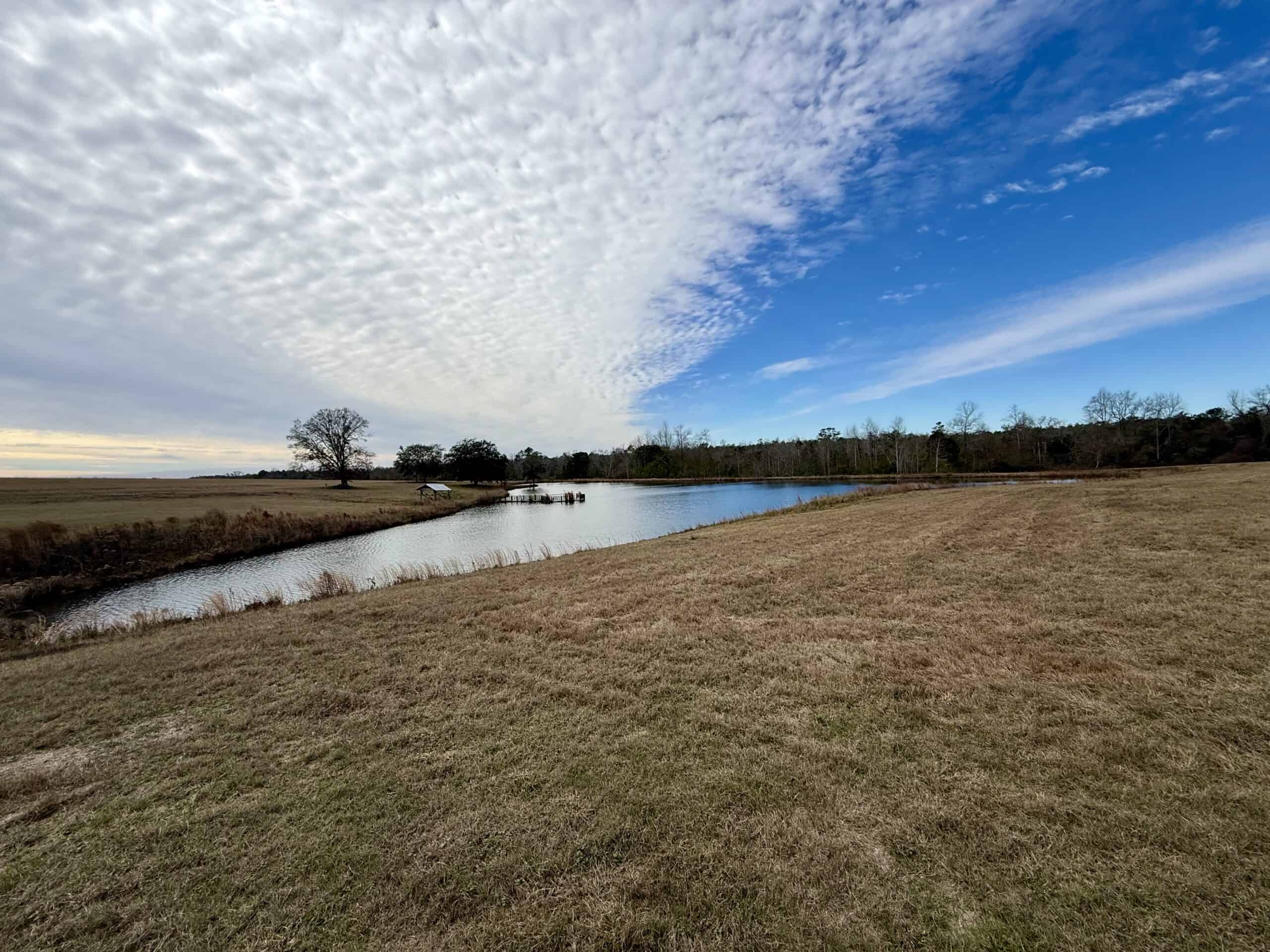 Rudd Sod Farm – 240 Acres in Alford, Florida – For Sale