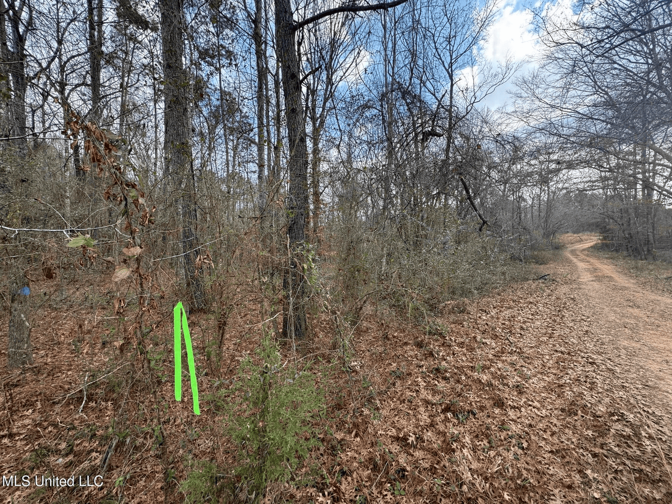Prime Hunting/Recreation Tract near Homochitto Nat’l Forest