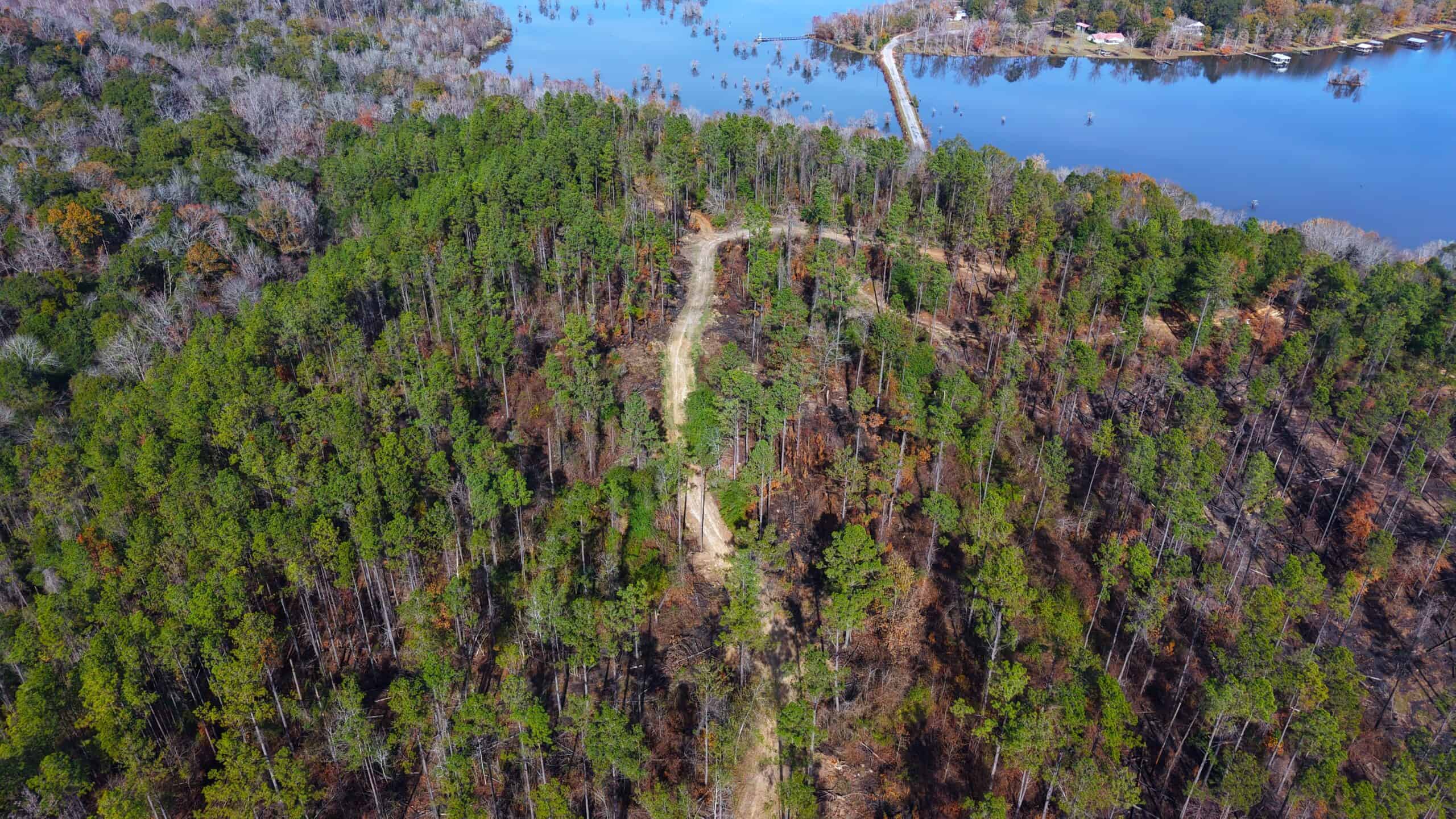 188 Acres for Sale in the Alabama River Bluff