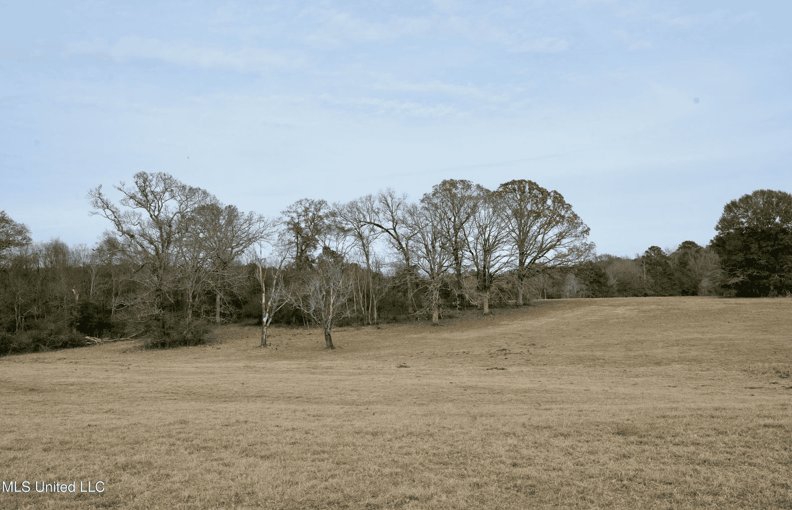 160 Acres in Lincoln County MS Near Brookhaven & I-55