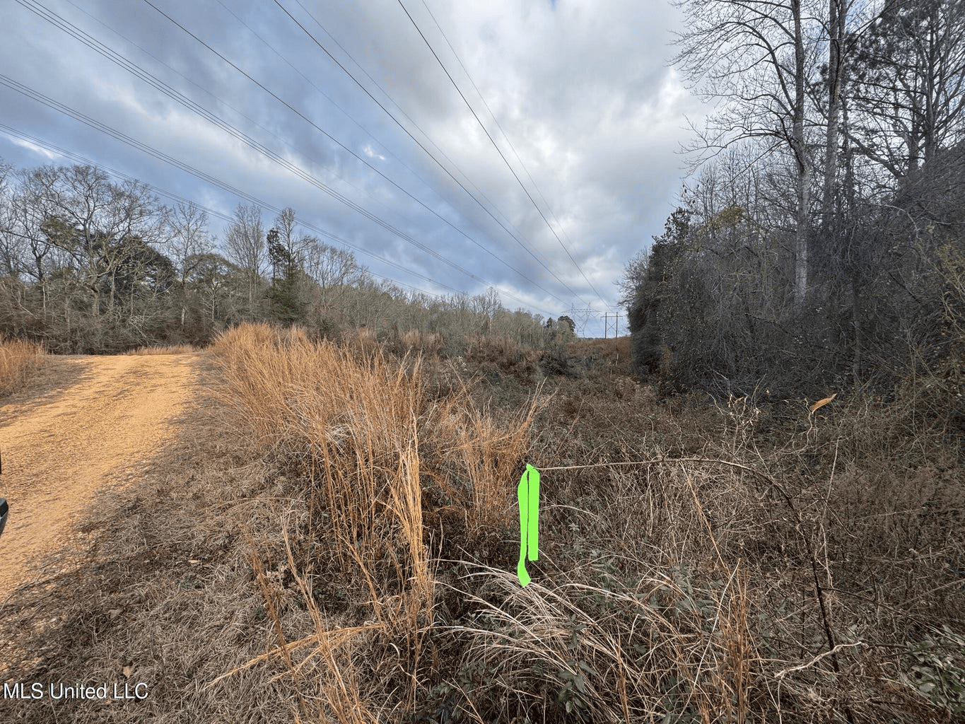 Prime Hunting/Recreation Tract near Homochitto Nat’l Forest