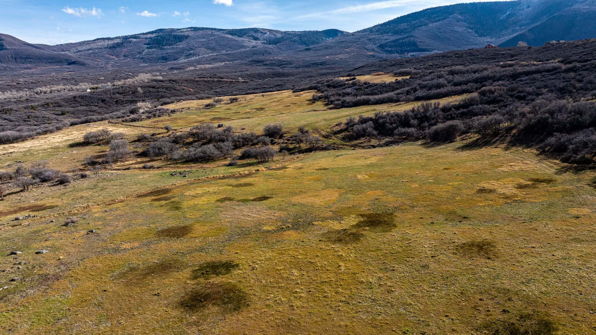 Bull Basin Meadows Ranch – Colorado Ranch in Collbran