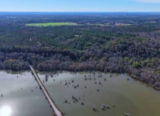 188 Acres for Sale in the Alabama River Bluff