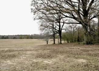 160 Acres in Lincoln County MS Near Brookhaven & I-55