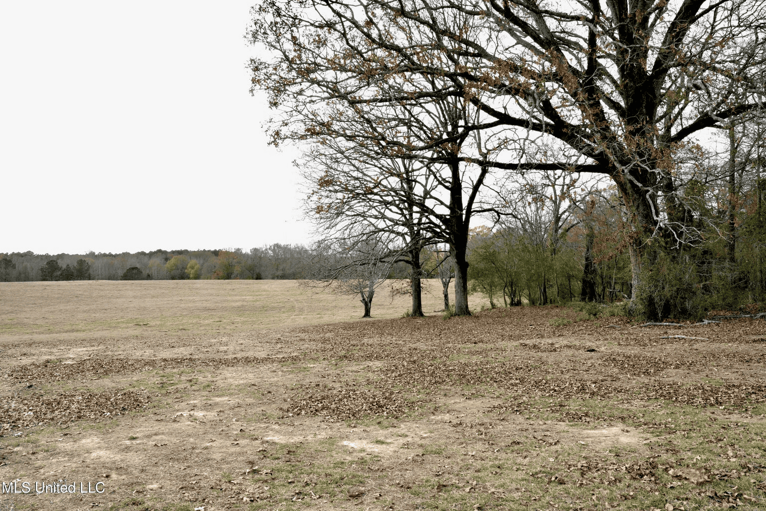 160 Acres in Lincoln County MS Near Brookhaven & I-55