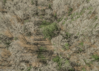 13645 LA Hwy 10, St. Francisville, LA Home on 19± Acres