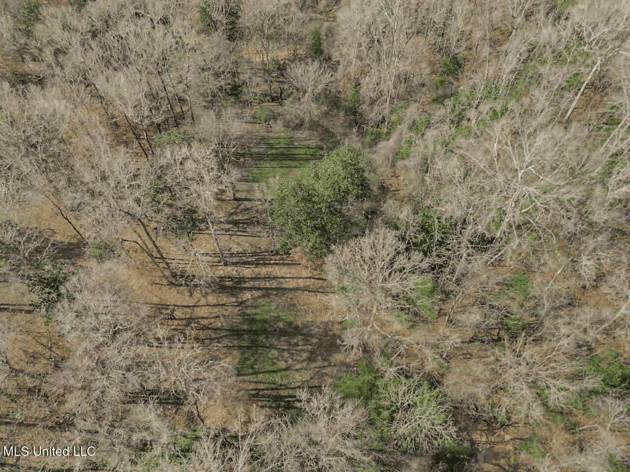 13645 LA Hwy 10, St. Francisville, LA Home on 19± Acres