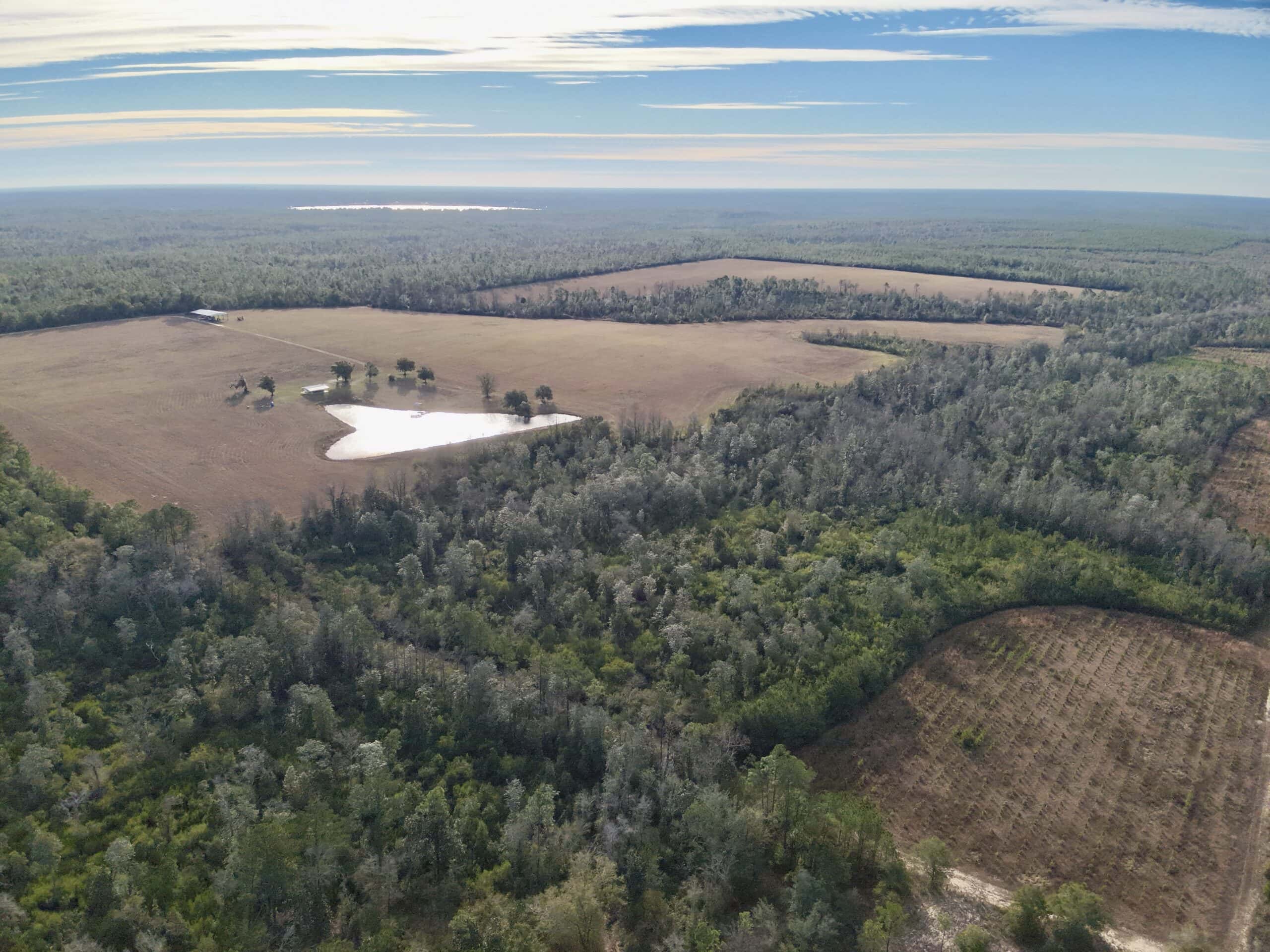 Rudd Sod Farm – 240 Acres in Alford, Florida – For Sale