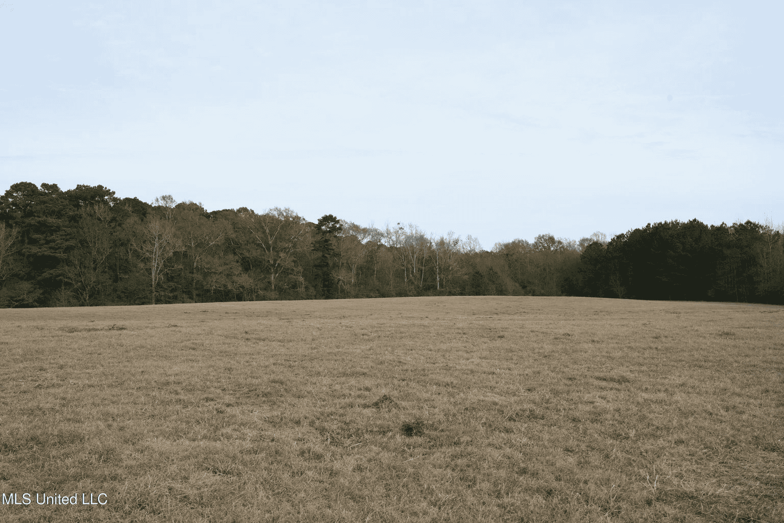 160 Acres in Lincoln County MS Near Brookhaven & I-55