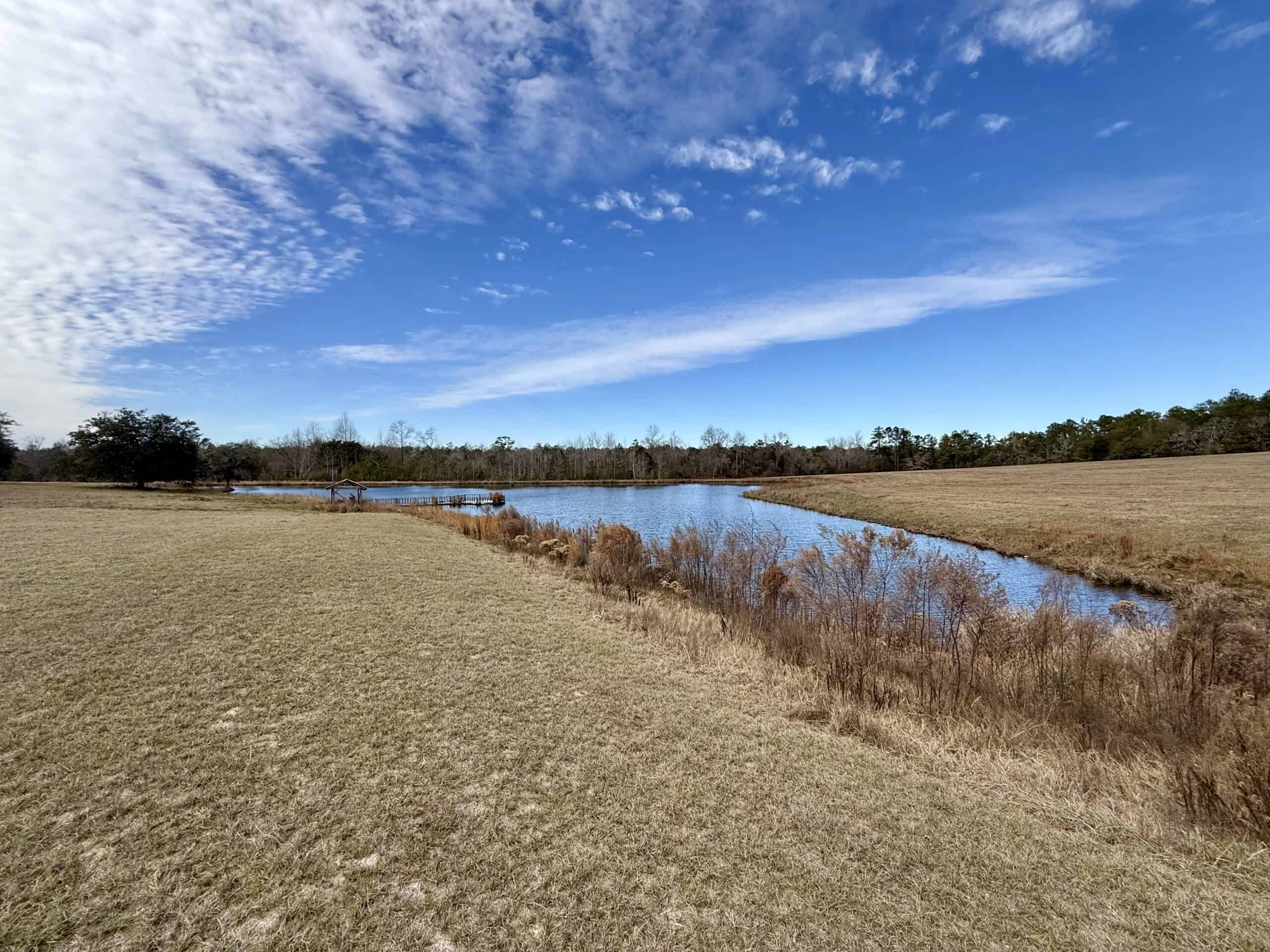 Rudd Sod Farm – 240 Acres in Alford, Florida – For Sale