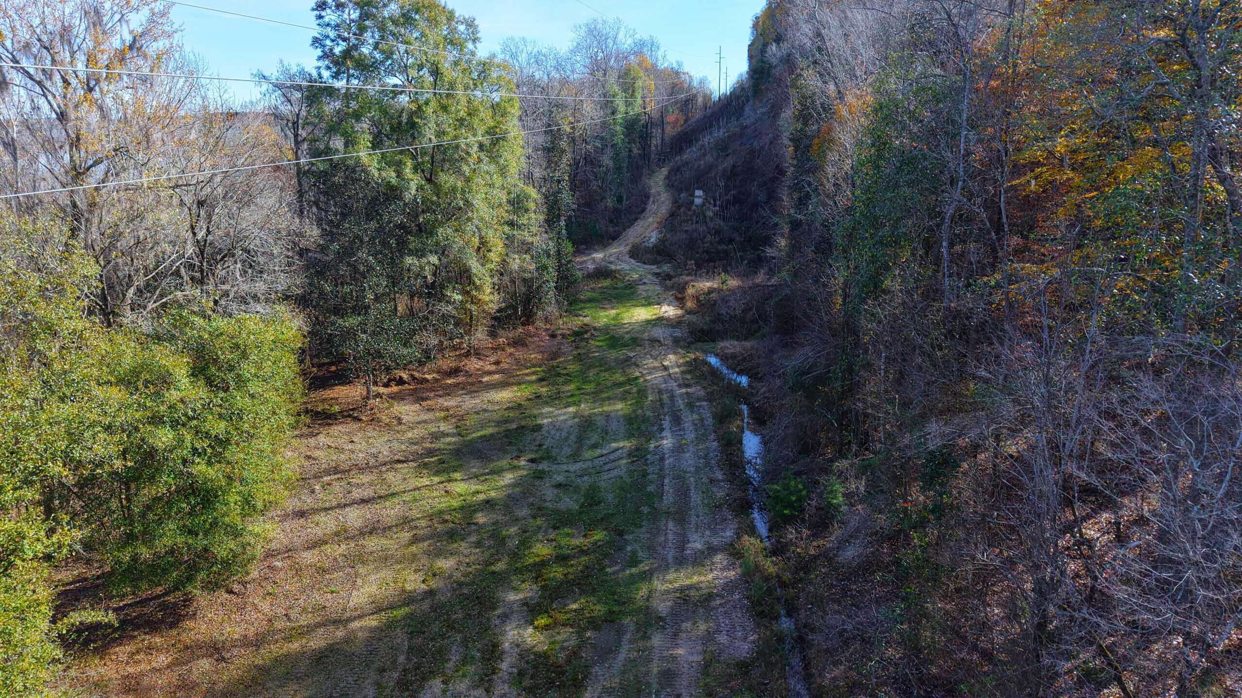 188 Acres for Sale in the Alabama River Bluff