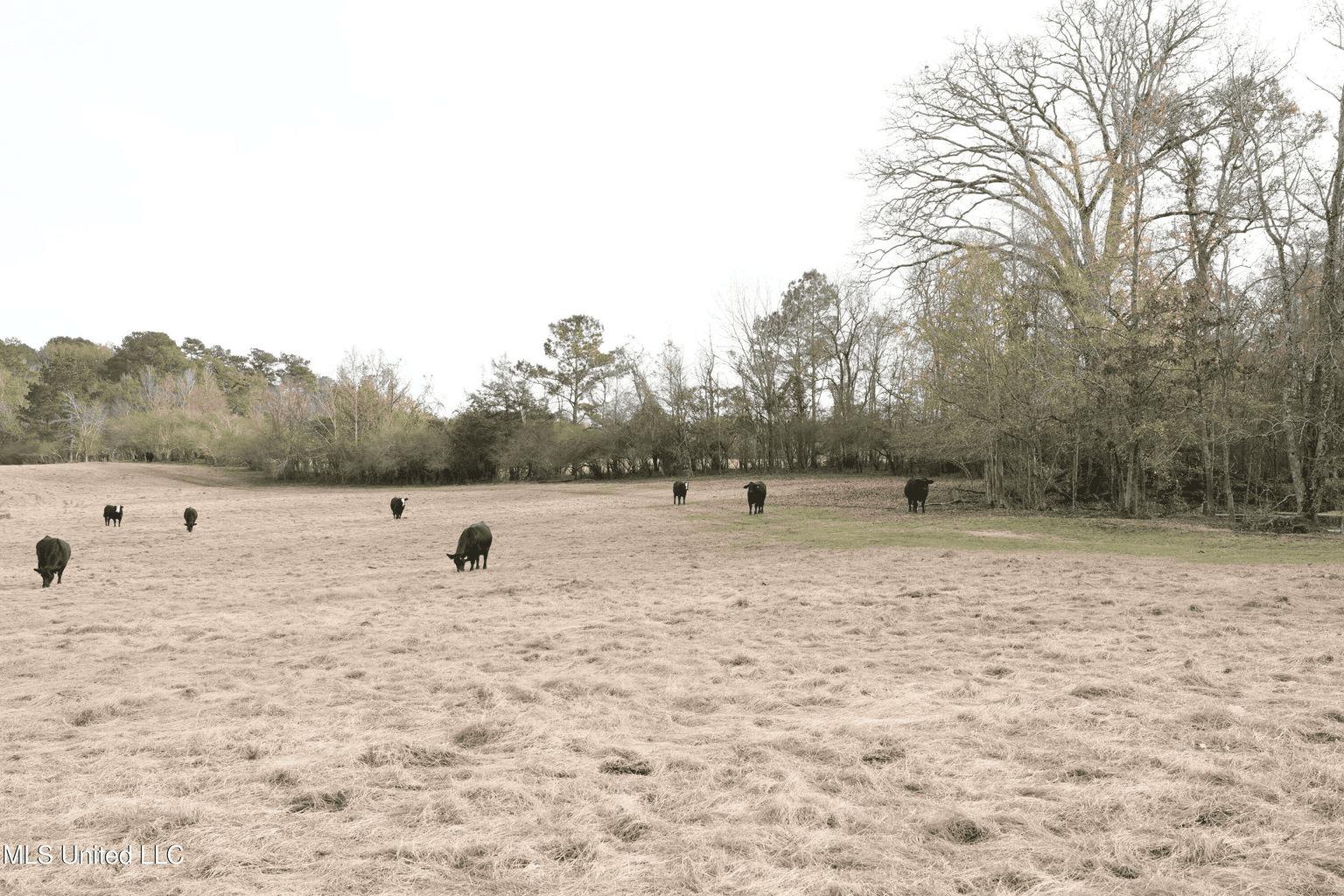 160 Acres in Lincoln County MS Near Brookhaven & I-55