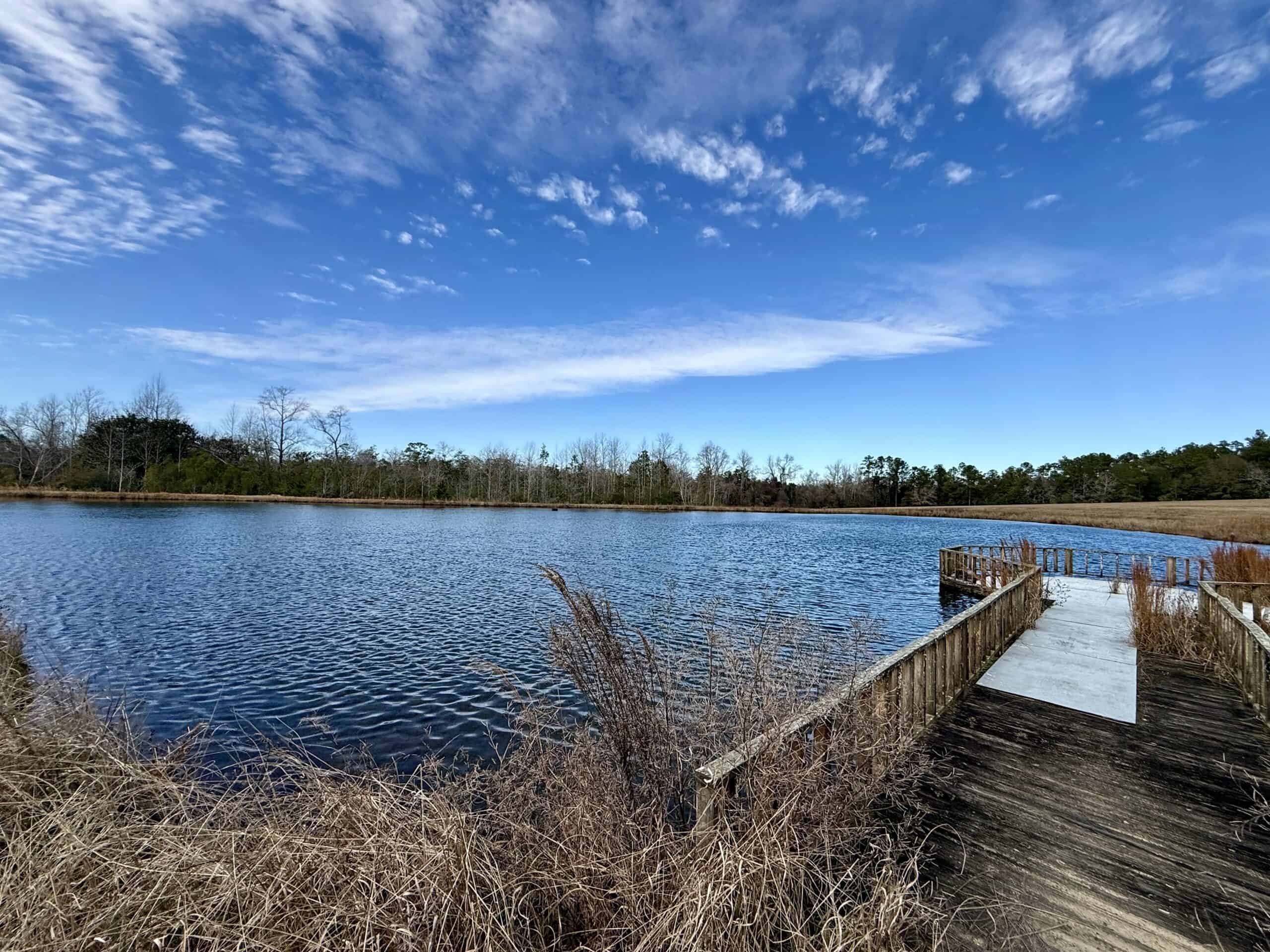 Rudd Sod Farm – 240 Acres in Alford, Florida – For Sale