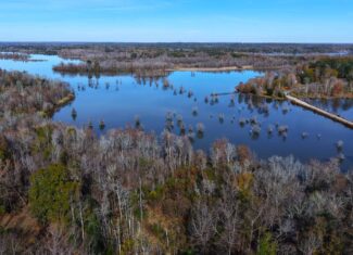 188 Acres for Sale in the Alabama River Bluff