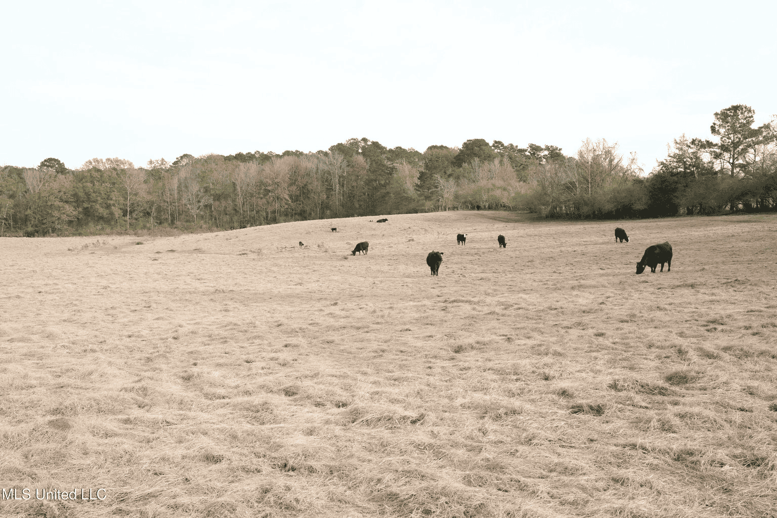 160 Acres in Lincoln County MS Near Brookhaven & I-55