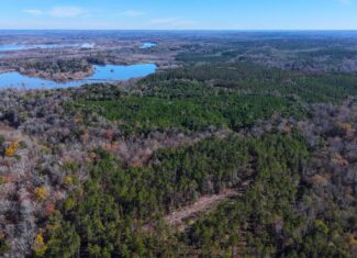 188 Acres for Sale in the Alabama River Bluff