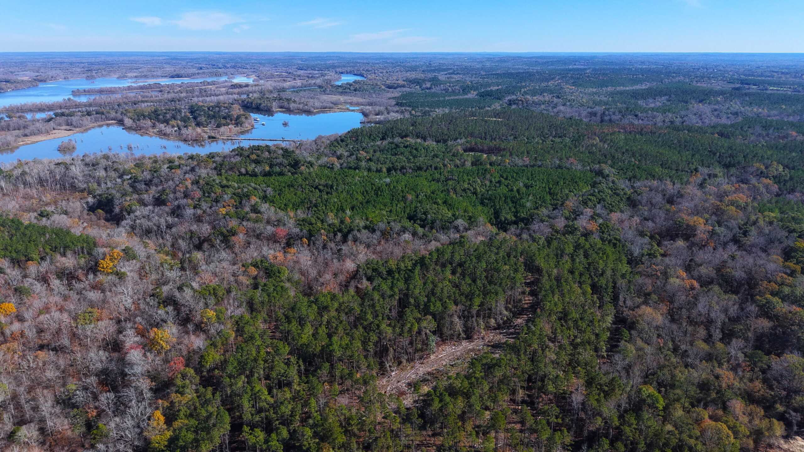 188 Acres for Sale in the Alabama River Bluff