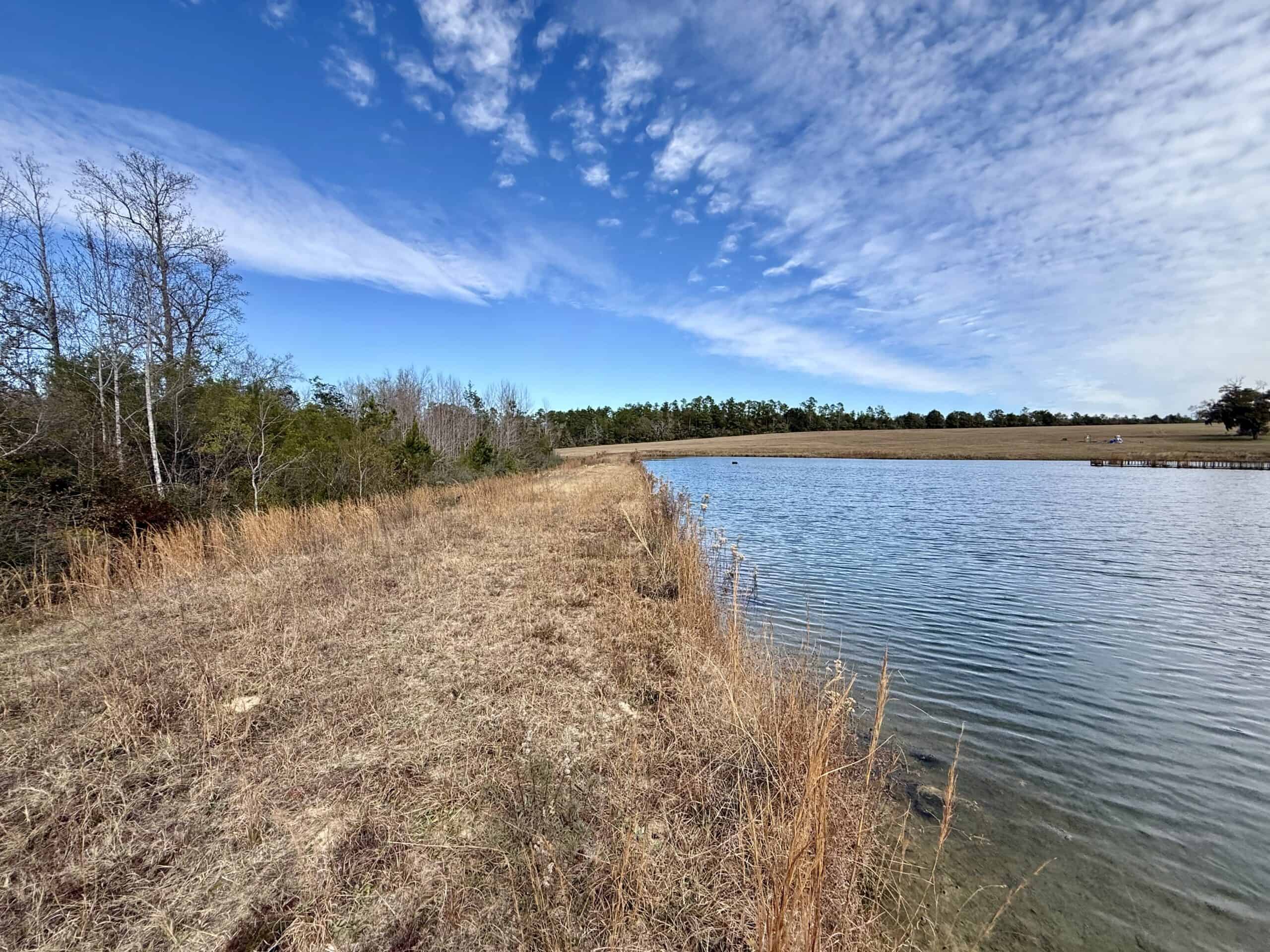 Rudd Sod Farm – 240 Acres in Alford, Florida – For Sale
