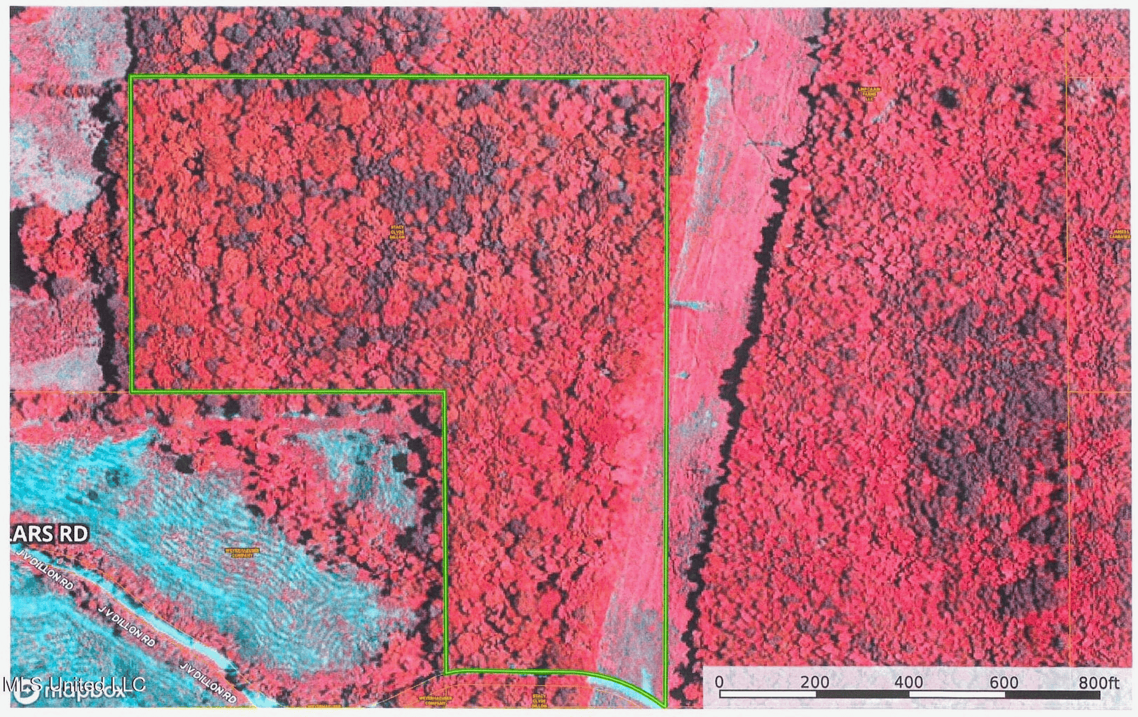 Prime Hunting/Recreation Tract near Homochitto Nat’l Forest