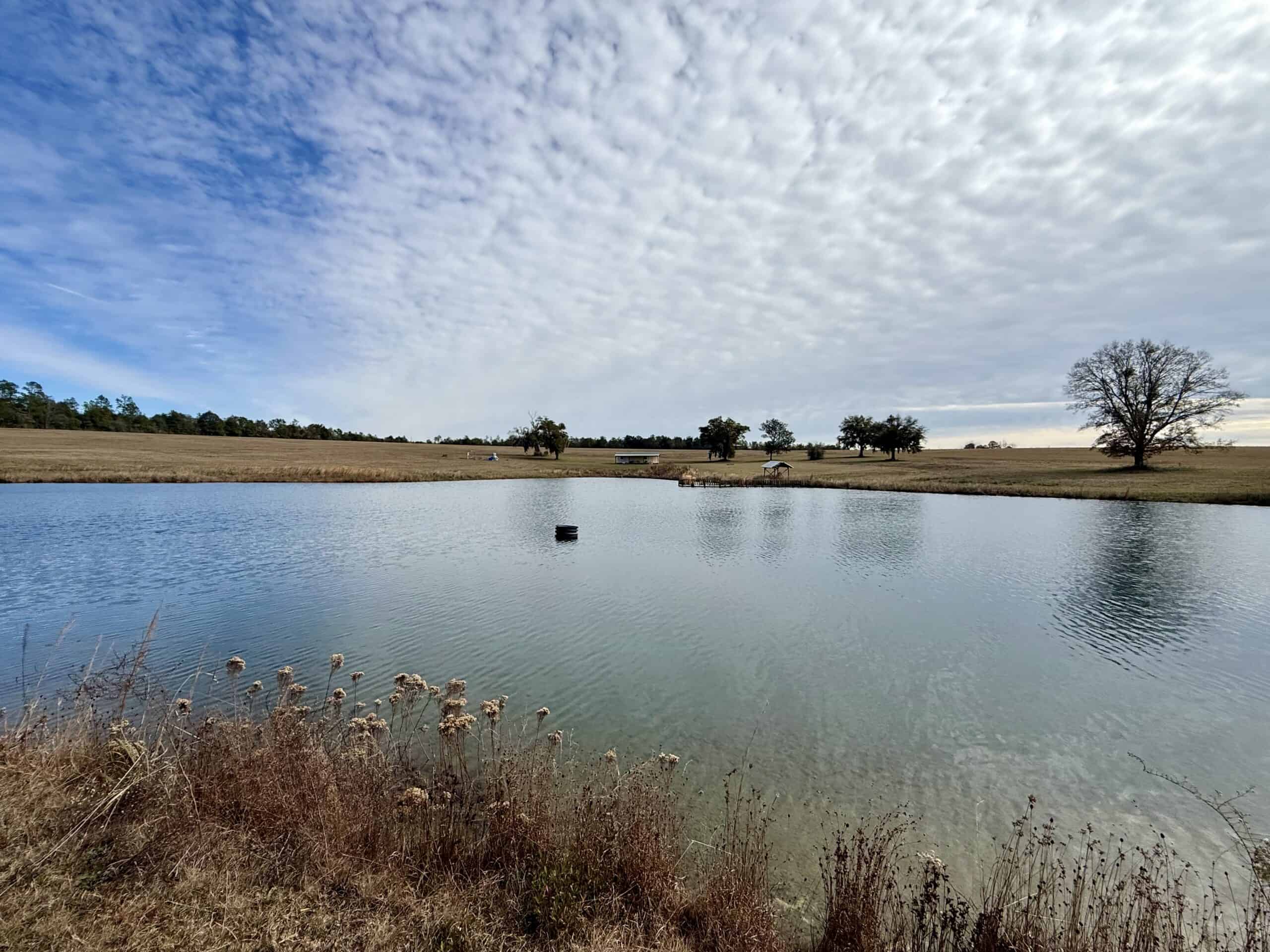 Rudd Sod Farm – 240 Acres in Alford, Florida – For Sale