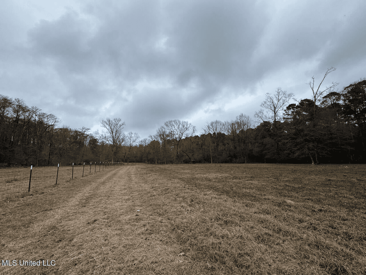 7035 Robertson Road Amite & Franklin County MS