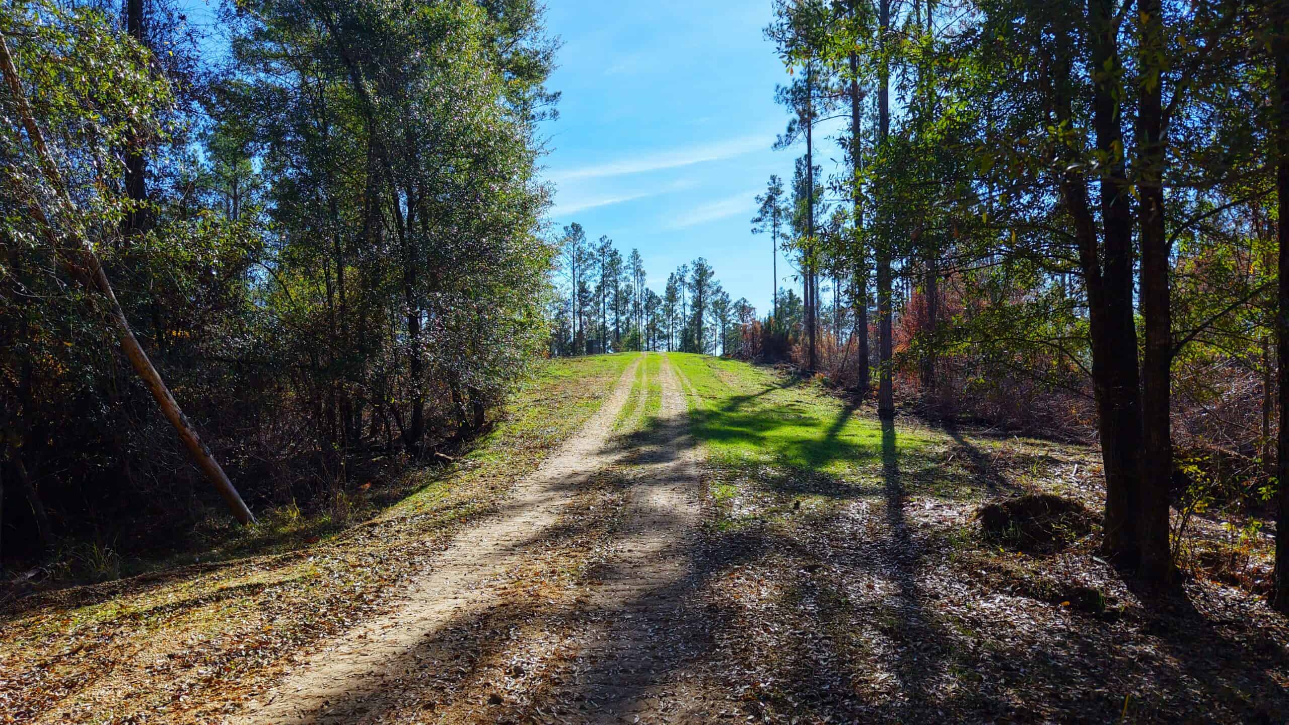188 Acres for Sale in the Alabama River Bluff