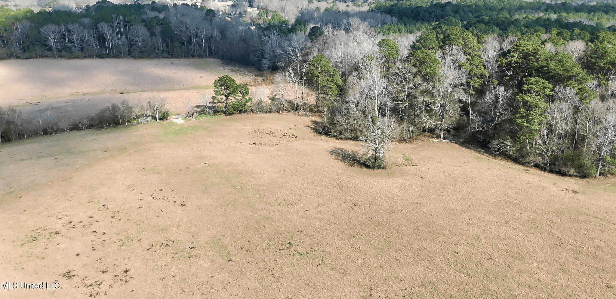 160 Acres in Lincoln County MS Near Brookhaven & I-55