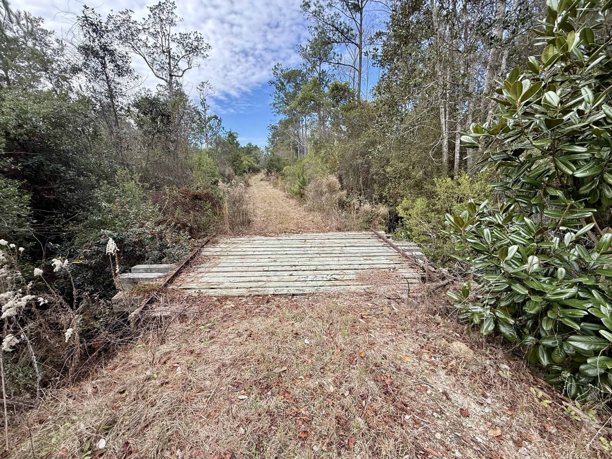 Rudd Sod Farm – 240 Acres in Alford, Florida – For Sale
